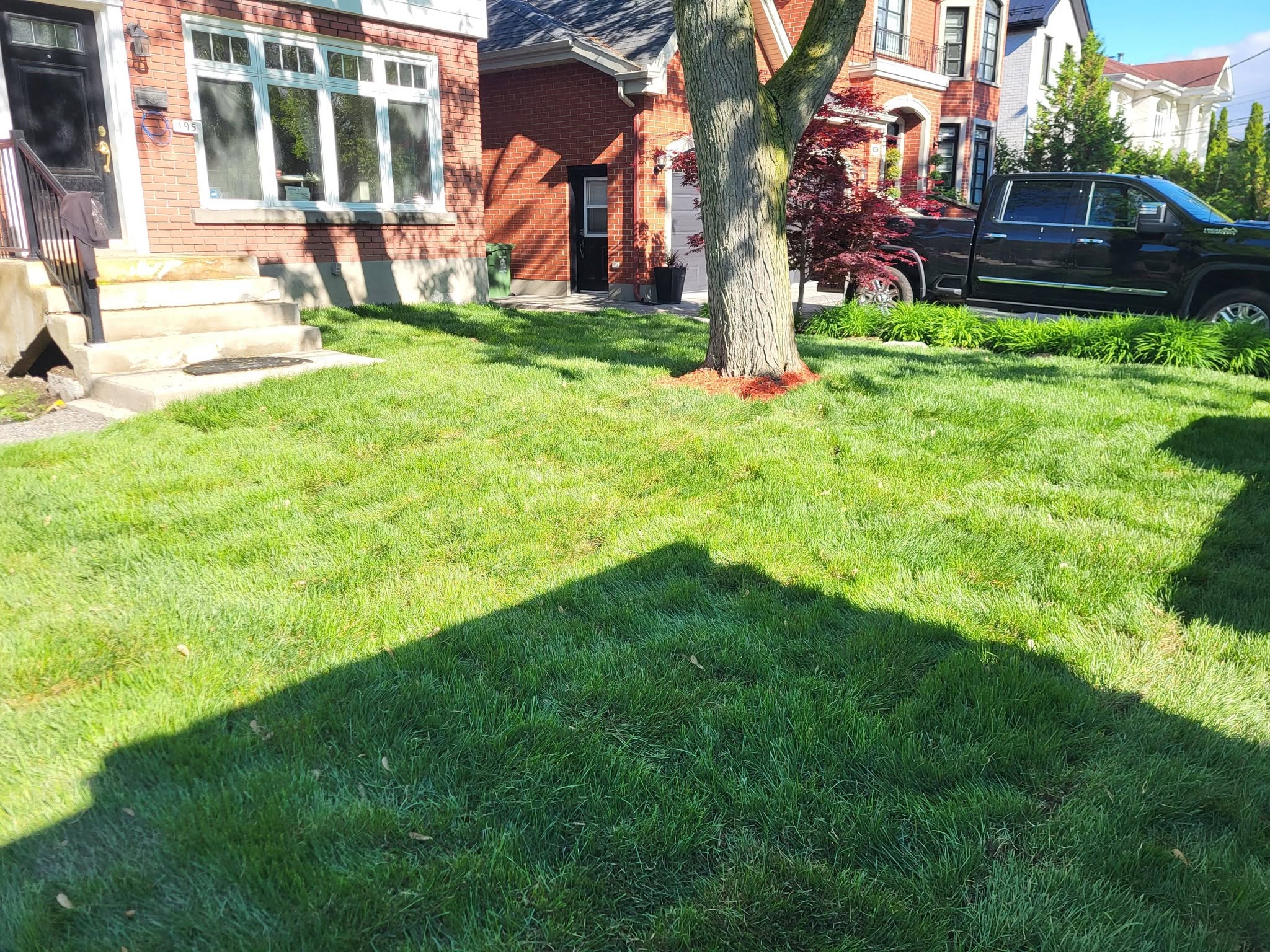 Sod edge detail